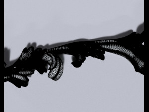 Cartouche-013 3D Model