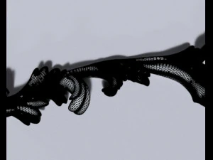 Cartouche-013 3D Model