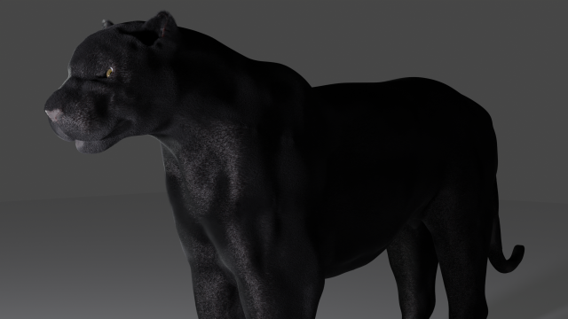 Pantera 3D 模型 .c4d .max .obj .3ds .fbx .stl .blend
