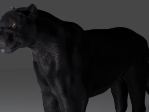 Pantera 3D 模型