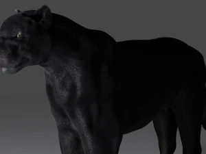 Pantera 3D Modell