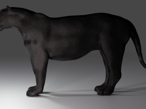Pantera 3D 模型
