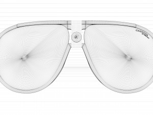 Carrera Square Pilot Sunglasses 3D 모델