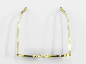 Oliver Peoples Transparent Frame Sunglasses 3D Model