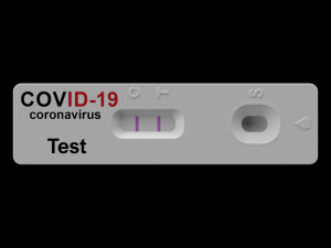 Antigen Test Covid-19 3D मॉडल