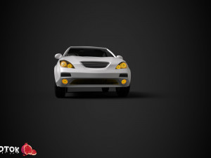 Tiba 3D Model