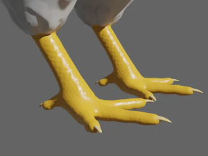 Huhn 3D Modell