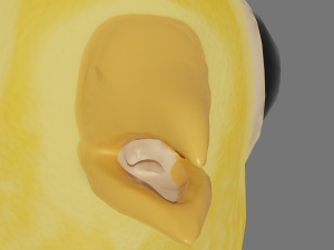 Stylized chick Model 3D
