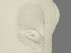 Stylized chick Model 3D