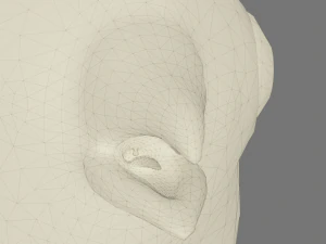 Stylized chick 3D Model