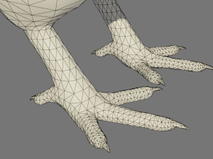 Stylized chick Model 3D
