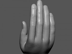 Buddha On Hand 3D Print Model