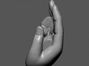 Buddha On Hand 3D Print Model