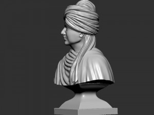 Swami Vivekanand Bust Modelo de Impressão 3D