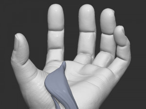 Hand Pose design Modello di stampa 3D