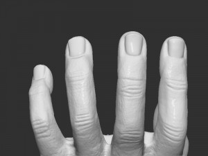Hand Pose design Modello di stampa 3D