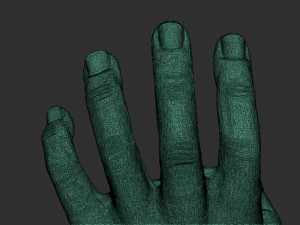 Hand Pose design Modello di stampa 3D
