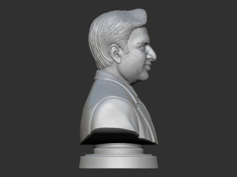 Ratan Tata Bust Modèles 3D en vedette