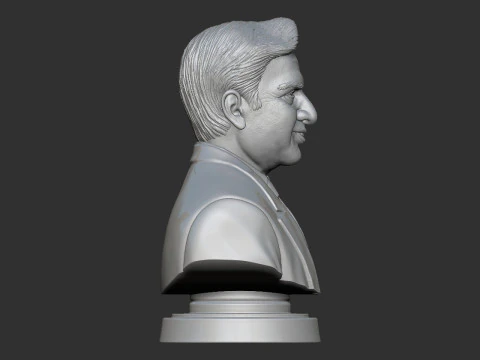 Ratan Tata Bust 3D Print Model