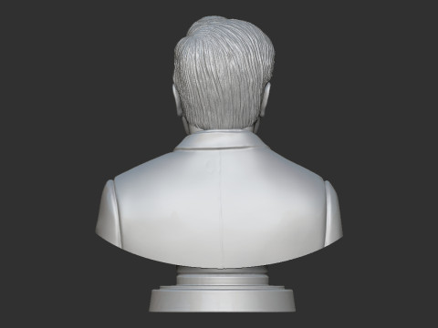 Ratan Tata Bust Modèles 3D en vedette