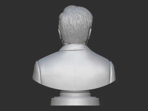 Ratan Tata Bust 3D Print Model