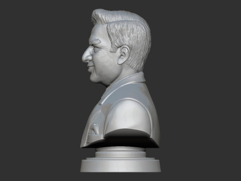 Ratan Tata Bust Modèles 3D en vedette