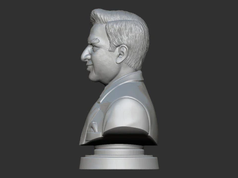 Ratan Tata Bust 3D Print Model