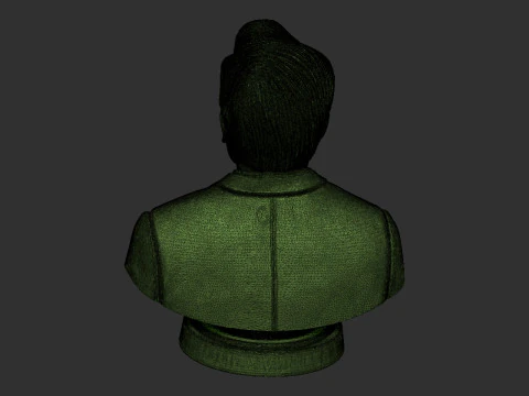 Ratan Tata Bust 3D Print Model