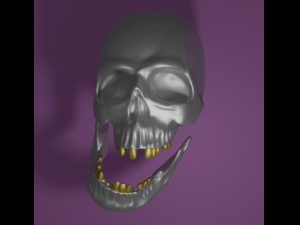 Skull sculpt 3D Model