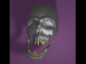 Schedel beeldhouwen 3D Model