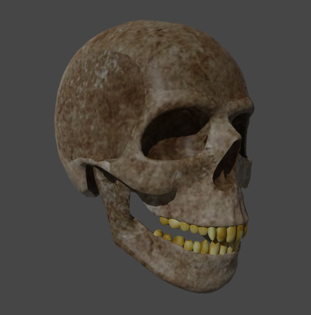Skull low-poly Modelo 3D .c4d .max .obj .3ds .fbx .stl .blend 