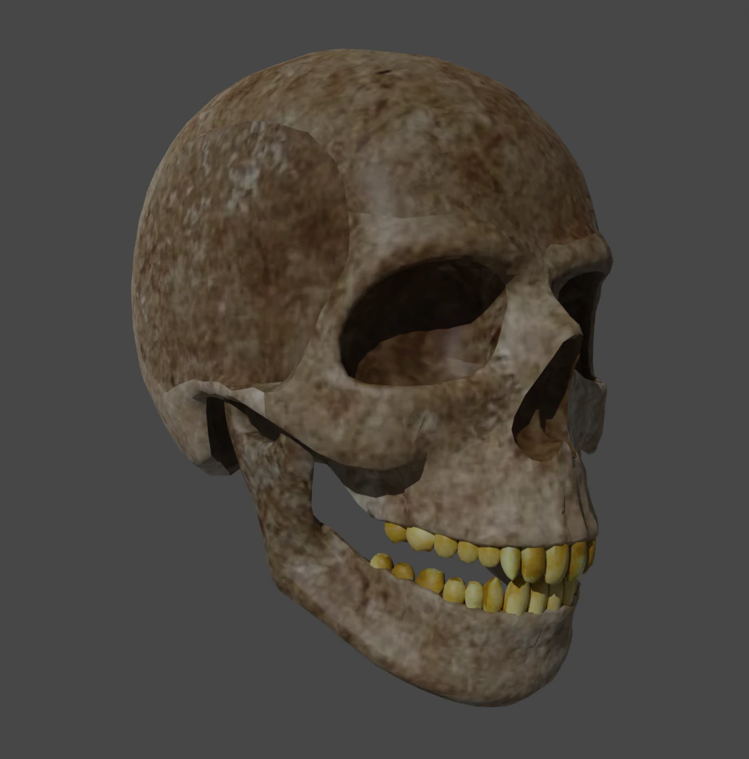 Skull low-poly 3D Model .c4d .max .obj .3ds .fbx .stl .blend 