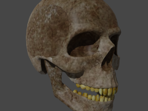Skull low-poly Modelo 3D