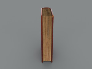 Old book ver 5 Modello 3D
