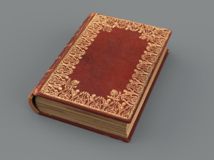 Old book ver 5 Modello 3D