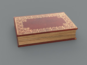 Old book ver 5 Modello 3D