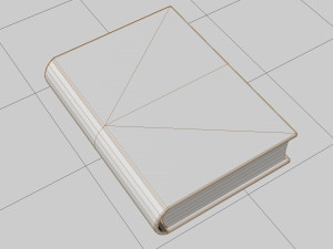 Old book ver 5 Modello 3D