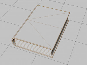Old book ver 5 Modello 3D