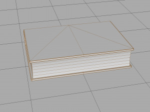 Old book ver 5 Modello 3D