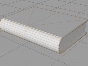 Old book ver 5 Modello 3D