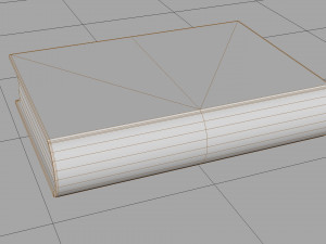 Old book ver 5 Modello 3D