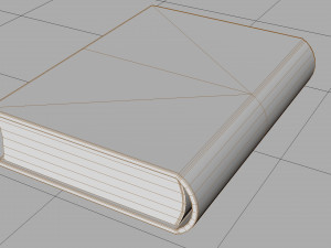 Old book ver 5 Modello 3D