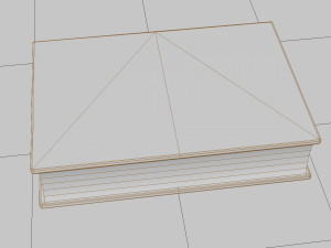 Old book ver 5 Modello 3D