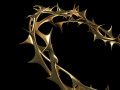 Crown of thorns 3D Models