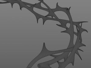 Crown of thorns Modelo 3D