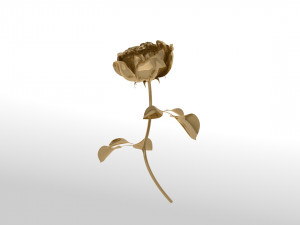 Golden rose blossom animation 3D Модель