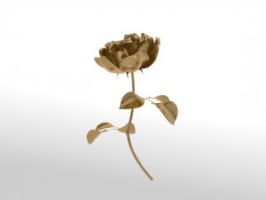 Golden rose blossom animation 3D Модель