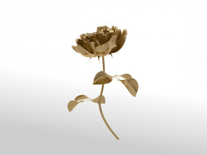 Golden rose blossom animation 3D Модель