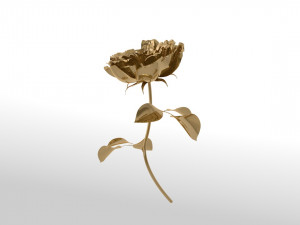 Golden rose blossom animation 3D 模型
