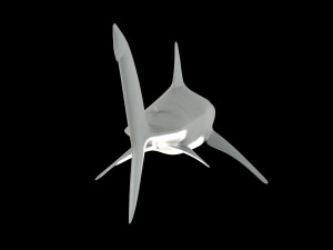 White shark 3D Model